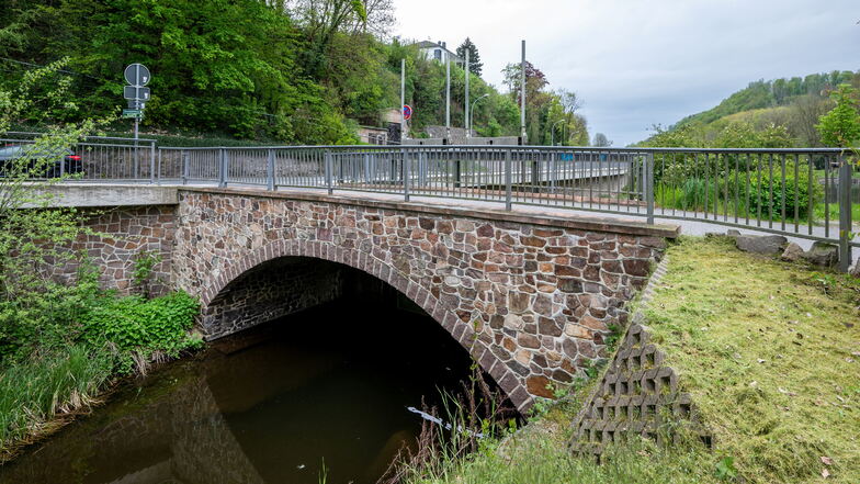 Noch vor dem Heimatfest soll die Brücke zum Oberwerder in Waldheim saniert werden. Sie ist die einzige Zufahrt zu dem Festplatz, auf dem zum Heimatfest mehrere Veranstaltungen geplant sind.