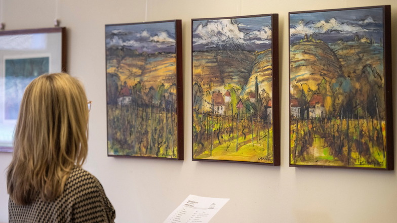 Eine Besucherin betrachtet Landschaftsbilder von Andre Uhlig in der Stadtbibliothek in Radebeul-Ost.