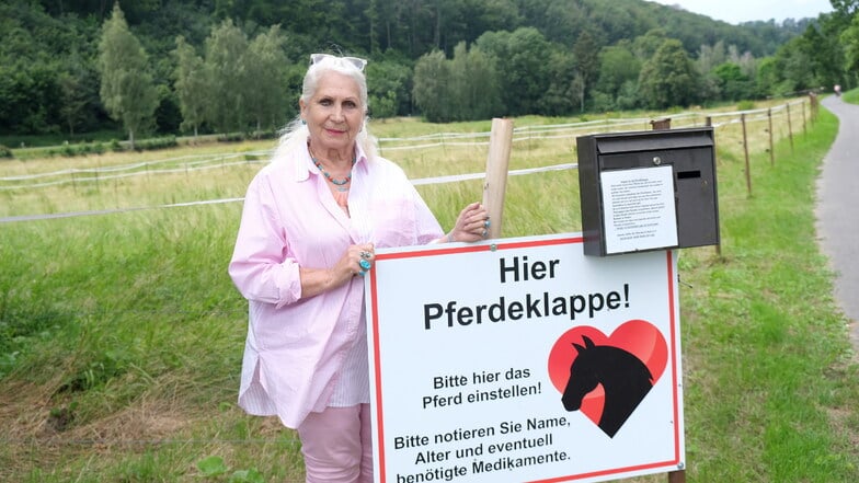 Tierfreundin aus Klipphausen: "Wir wollen die Pferde vor dem Schlachter retten"