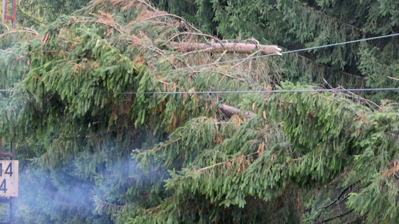 Beschädigte Stromleitungen gibt es nach Sturm "Ignatz" noch einige in der Region. Im Laufe des Tages sollen laut Mitnetz die Reparaturen abgeschlossen sein. (Symbolbild)