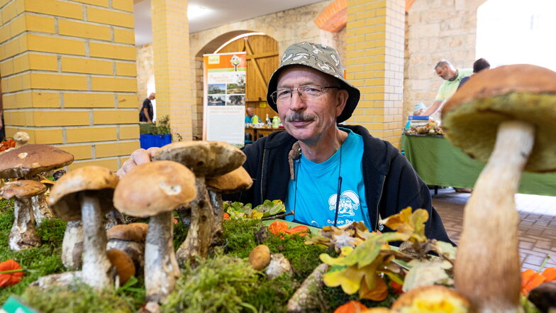 Pilzberater Gunter Redwanz steht hier in der Pilzausstellung, die am Sonntag im Lindenhof in Ulberndorf zu sehen war.