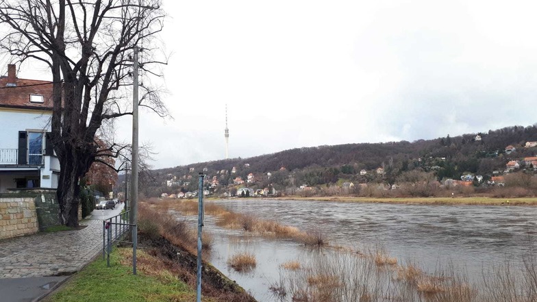 Am Elbufer in Laubegast ist deutlich zu sehen, dass der Wasserpegel des Flusses gestiegen ist.