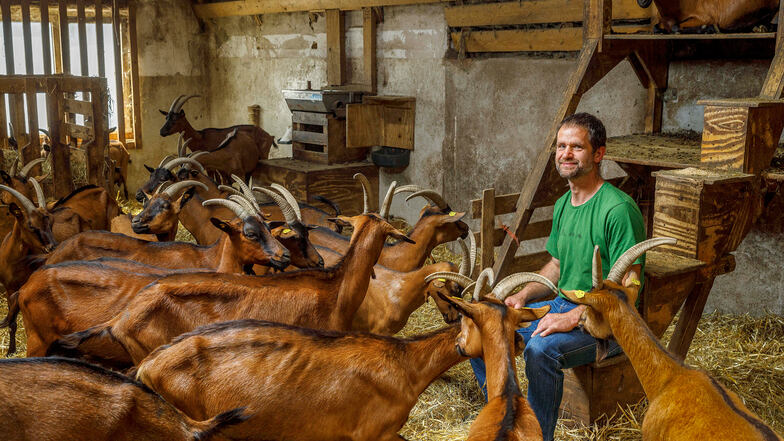 "Der Herr der Ziegen": Der Fotograf Eric Münch gewinnt mit diesem Porträt eines Landwirts inmitten einer Schar Ziegen.