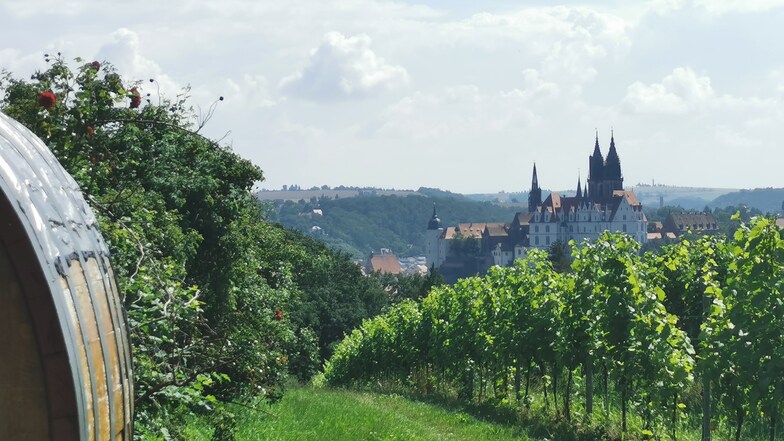 Aussichtspunkt "Weinsicht Proschwitz" mit Blick auf die Albrechtsburg Meissen.