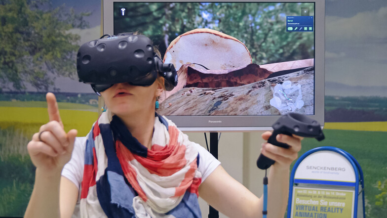 Das Naturkundemuseum ermöglicht Besuchern mit der Virtual Reality-Anwendung „Abenteuer Bodenleben“ die Welt der Bodenlebewesen zu erkunden.