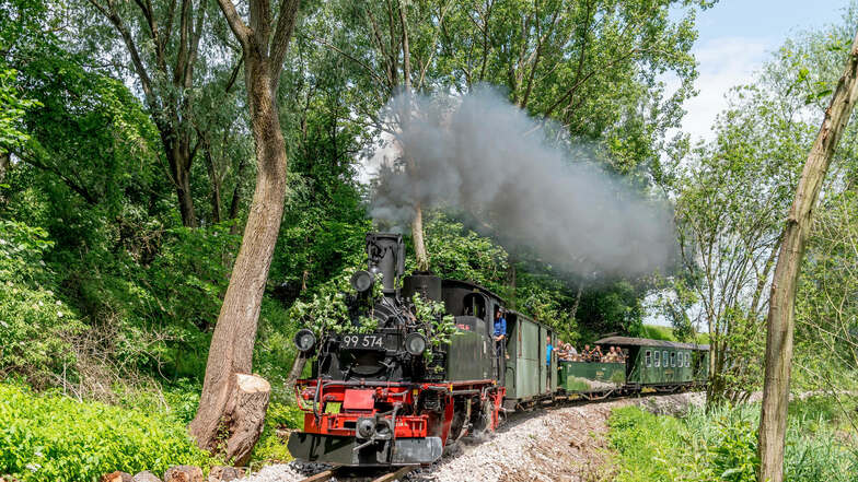 Oben ohne, also im Aussichtswagen, können Eisenbahnfans am Wochenende das Döllnitztal entdecken.
