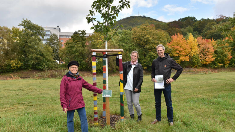 Susanne Brand vom Umweltzentrum Freital (links) übergibt Ellen Werner und Sebastian Strebe von der Firma Dr. Born - Dr. Ermel die Urkunde für den gespendeten Vogelkirschbaum im Park hinter dem Neumarkt.