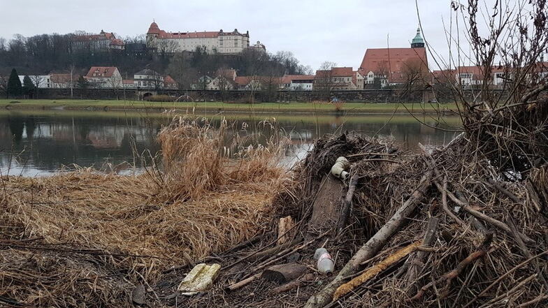 Unrat am Pirnaer Elbufer: Beim Frühjahrsputz soll dem Müll der Garaus gemacht werden.