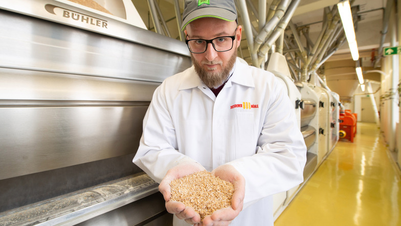 Betriebsleiter Norman Krug zeigt das Getreide nach der ersten Behandlung in der Maschine, bis zu 23 Mahlvorgänge sind nötig. Die Firma sucht dringend Müller-Nachwuchs, der heute Verfahrenstechnologe für die Mühlenwirtschaft heißt.