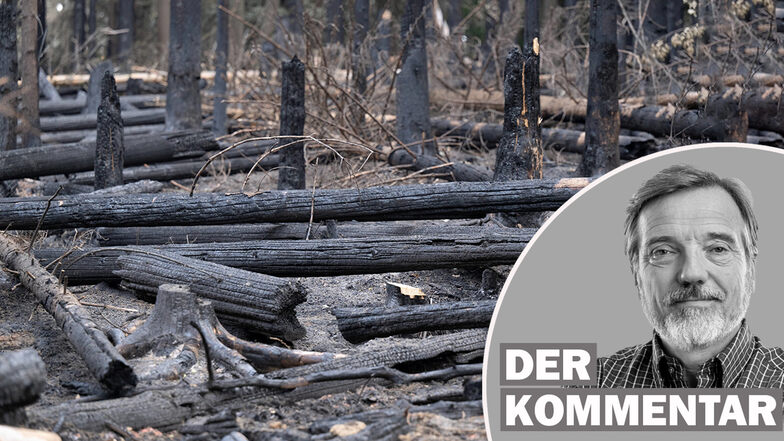 Stephan Schön findet, über bisher tabuisierte Feuerwehrzufahrten und Brandschneisen in Naturschutzgebieten muss geredet werden – nicht nur in der Sächsischen Schweiz.