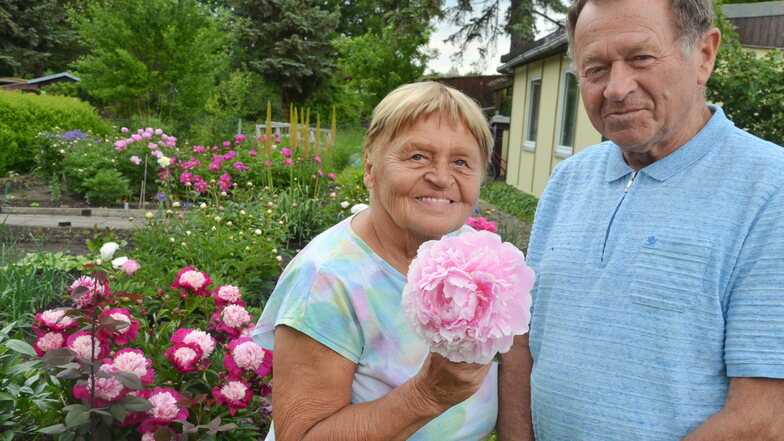 Marita und Hans Kuhnert erfreuen sich täglich an der Blütenpracht in ihrem Garten.