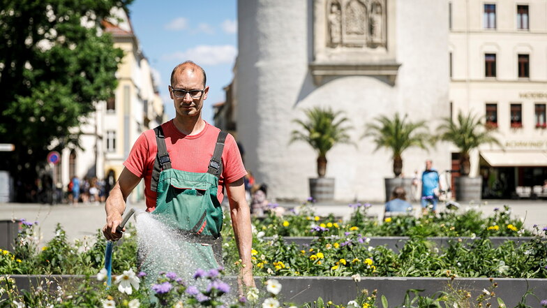 Die Hochbeete auf dem Görlitzer Marienplatz werden von Mitarbeitern des Städtischen Betriebshofes bewässert - hier von Robert Grohmann.
