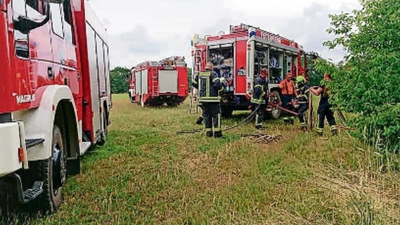 Zu einem Brand im Glaubitzer Wald rückten am Mittwoch acht Feuerwehr-Fahrzeuge aus.