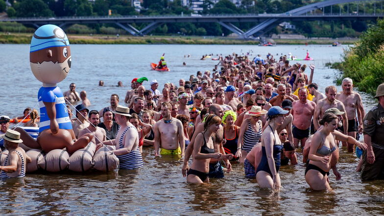 Das Ziel ist elbabwärts der Waldschlößchenbrücke am Fährgarten Johannstadt. Dort können die Aktiven nach dem Schwimmen beim Elbefest feiern.