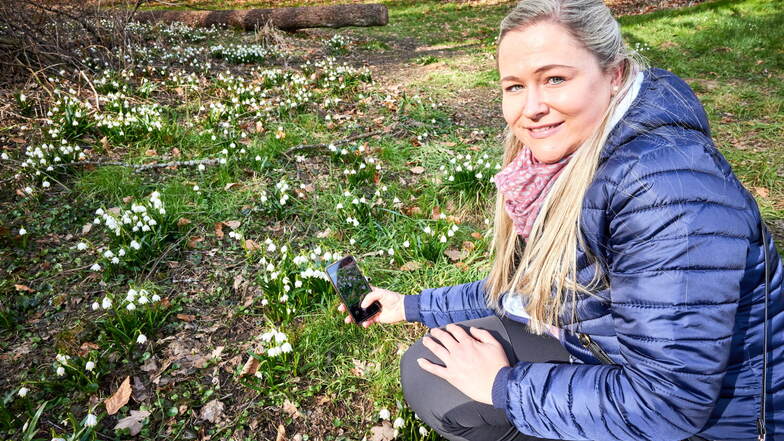Die Märzenbecher im Polenztal stehen in voller Blüte und haben bereits viele Besucher angelockt, so wie Elena Solovova aus Dresden.
