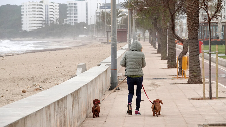 Spanien, Cala Millor: Eine Frau geht mit ihren Hunden spazieren. Ausdrücklich erlaubt ist das Gassi gehen während der Ausgangssperre in Spanien. Ansonsten ist die Strandpromenade in dem Urlaubsort aber menschenleer.