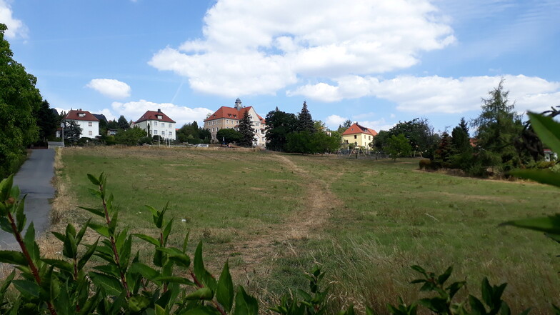 Freital: Auf dieser Wiese sollen neue Häuser gebaut werden