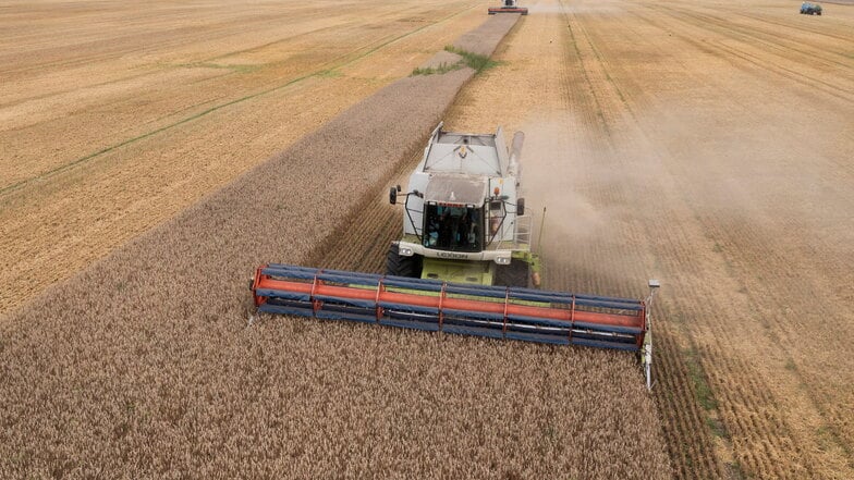 Russland kündigt Getreideabkommen mit Ukraine auf
