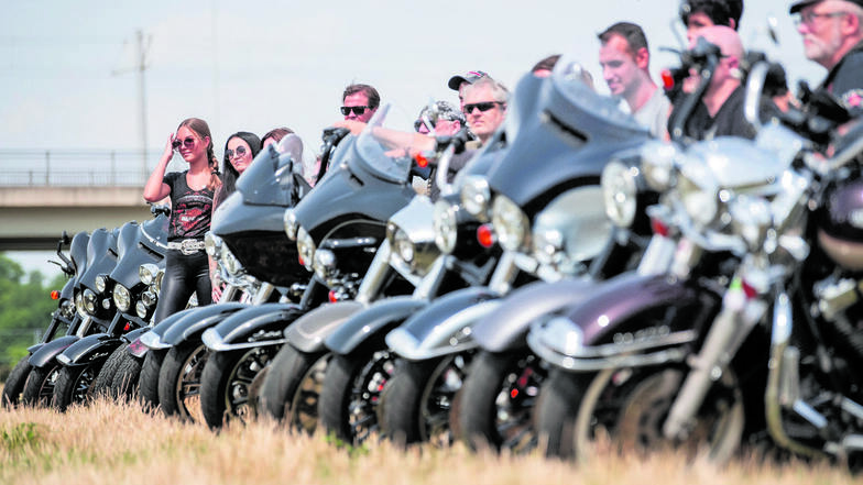 Schwarz ist ihre Lieblingsfahrer, zeigen Mitglieder des Harley-Chapters aus Dresden im Ostragehege.