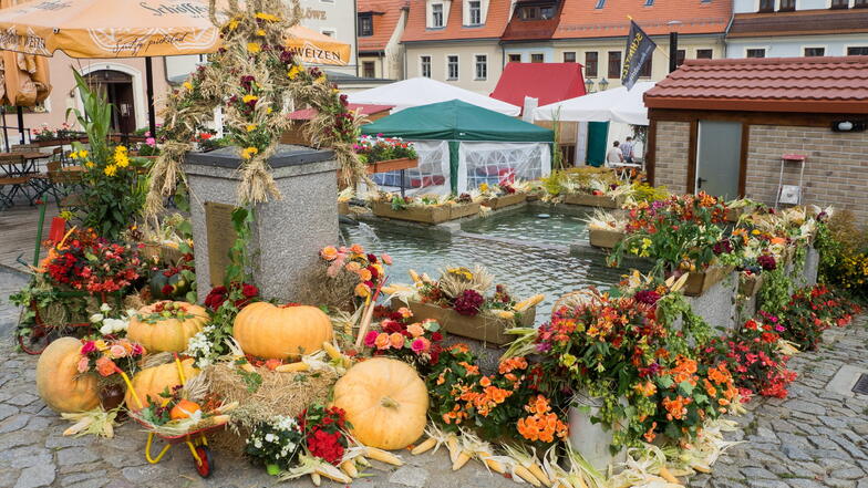 Kürbisse, Blumen, Kränze: So oder so ähnlich soll der Marktbrunnen in Stolpen im September wieder aussehen.