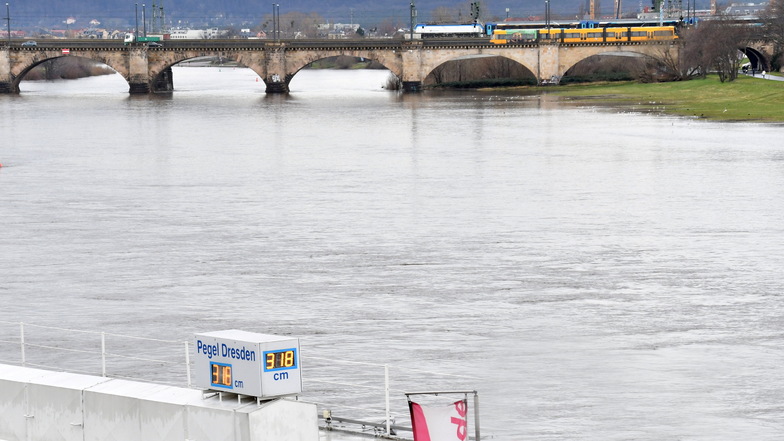 Die Elbe in Dresden macht sich breit. Grund zur Sorge besteht derzeit allerdings nicht.