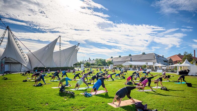 Entspannung, Bewegung und frische Luft - Yoga am Ostra-Dome hat mittlerweile zahlreiche Besucher gewonnen.