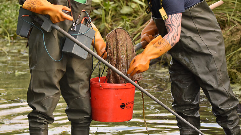 Die Männer im Wasser müssen sich beim Notabfischen gut isolieren – Wathosen mit Gummistiefeln und Elektrikerhandschuhe reichen aus.