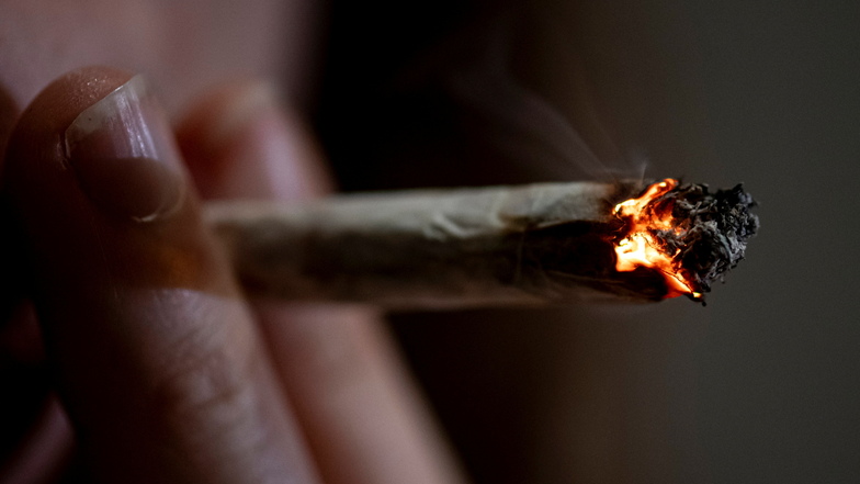 Prüfung von 7.000 Fällen in Sachsen bei Cannabis-Legalisierung