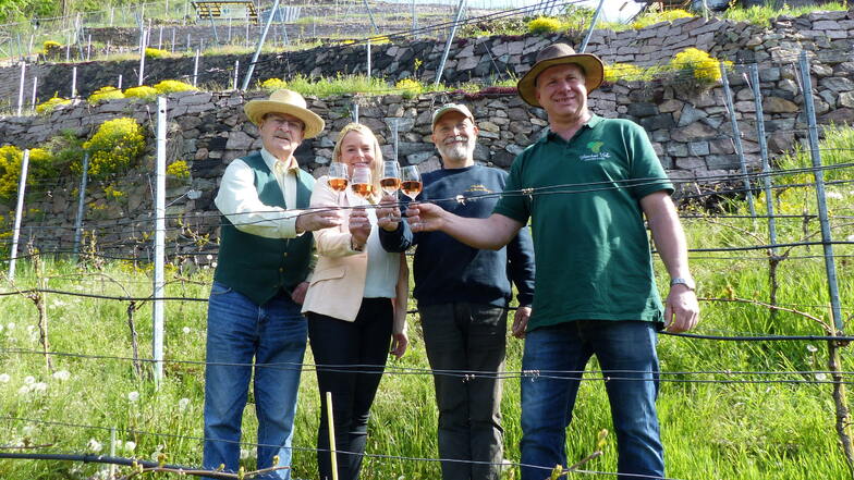 Frank Sparbert, Sachsens Weinkönigin Sabrina Papperitz, Thomas Teubert und Ralf Walter (v. l. n. r) stoßen auf das runde Jubiläum an. Im Juni wollen sie viele Besucher in ihrem Weinberg begrüßen können.