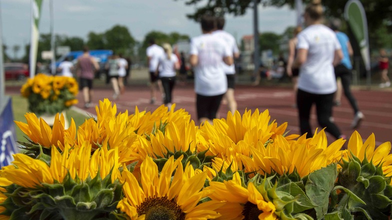 Bei der Premiere von "Laufend gegen Krebs" in Dresden im Juni 2022 waren gut 500 Teilnehmerinnen und Teilnehmer dabei, und es kamen rund 7.600 Euro an Spendengeldern zusammen.