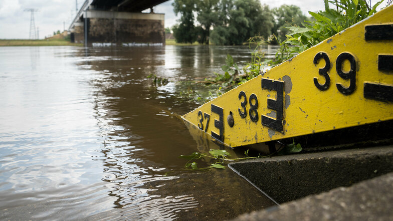 Nach den beiden Hochwassern sind viele Dresdner für das Thema sensibilisiert.