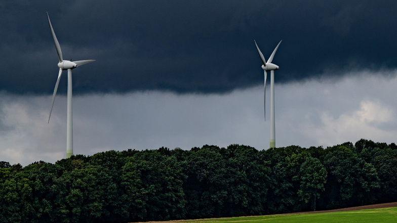 Direkt im Wald stehen noch keine Windkraftanlagen in Sachsen. Etwa zwei Drittel der Waldflächen bleiben auch künftig dafür tabu.