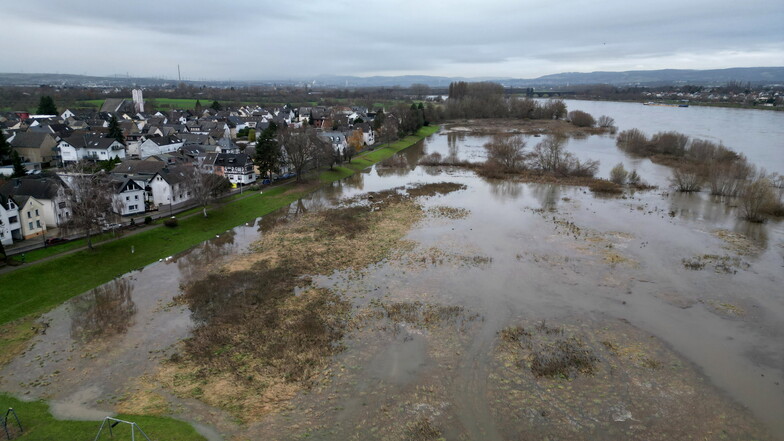 Hochwasser: Vor allem Rhein und Donau betroffen