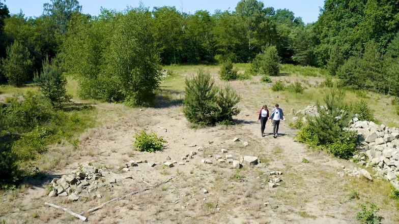 Auf dieser Freifläche in der Dresdner Heide haben die Biologie-Studierenden die weltgrößte Population von Ameisenjungfern entdeckt.
