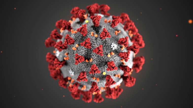 Das Coronavirus nutze ein körpereigenes Enzym – ACE2 genannt –, um in den Organismus einzudringen.