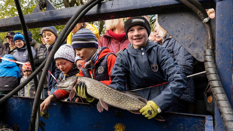 Der achtjährige Karl präsentiert einen Fisch, der gerade aus dem Schlossteich in Petershain geholt worden war.