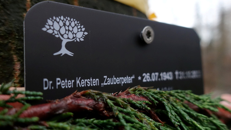 Eine Plakette an einer Rotbuche im Friedwald Oberau erinnert an den Zauberpeter.