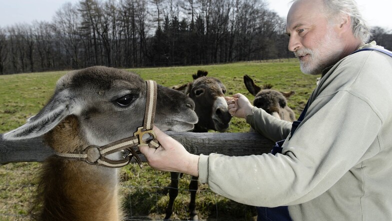Was Frank Eichler vom Permahof in Hohburkersdorf anpackt, macht er mit Leidenschaft. Dazu gehört auch die Liebe zu den Tieren auf dem Hof, wie Lama und Esel.