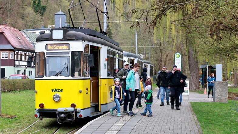 Die gelben Wagen rollen wieder durchs Kirnitzschtal in der Sächsischen Schweiz.