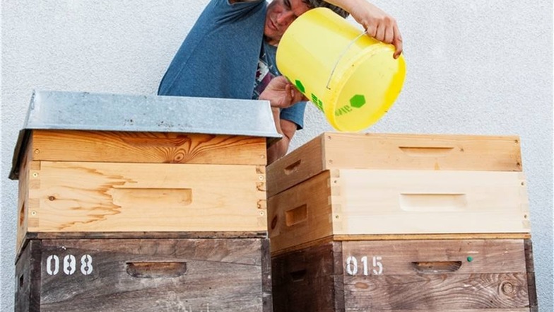 Zum Schluss bekommen die Bienen noch Ersatz für den entnommenen Honig: Mit leicht gesüßtem Wasser werden sie eingefüttert.