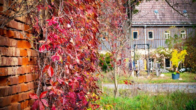 Im Schlosspark Jahnishausen gibt es zurzeit herrliche Herbstmotive.