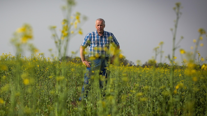 Landwirt Thomas Adler von der Großröhrsdorfer Agrargenossenschaft ist sauer angesichts der Bürokratie in Deutschland. Konkret geht es um die Verordnung zur Flächenstilllegung, die für 2024 noch nicht vorliegt.
