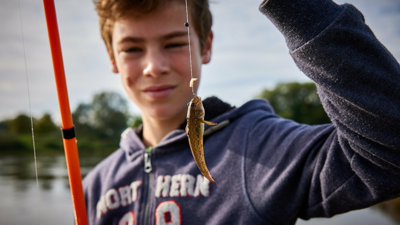 Und wieder grüßt die Grundel: Elb-Angler wie Lorenzo Ruffani vom Angelverein Stadt Pirna haben den nervigen Fisch laufend am Haken.