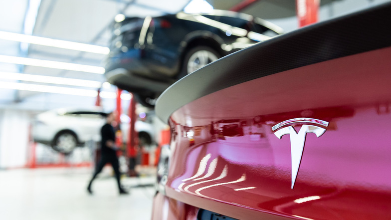 Tesla will bis zu 500.000 Fahrzeuge im Jahr in der neuen Fabrik in Brandenburg bauen.
