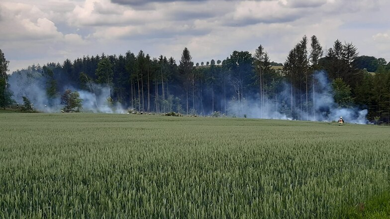 Mehrere Feuer hatte ein Anlieger am Waldrand angezündet, um Borkenkäferholz zu verbrennen. Am Ende waren sieben Feuerwehren im Einsatz.