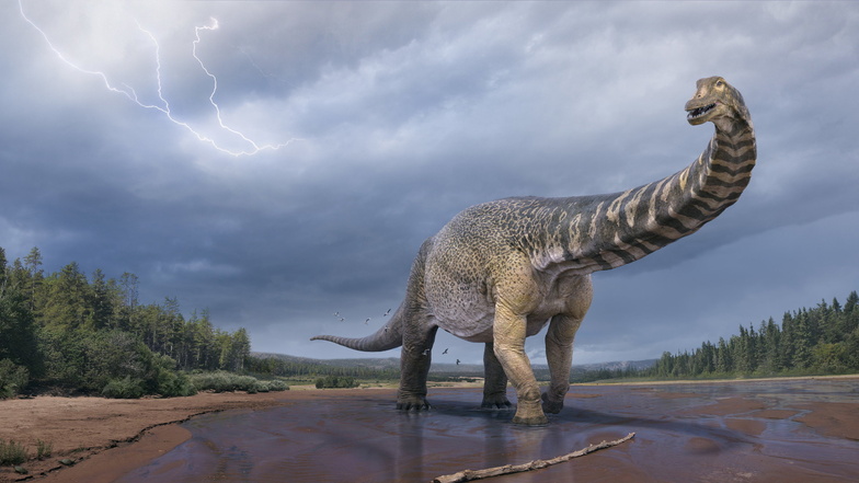 Neue Dinosaurierart in Australien bestimmt