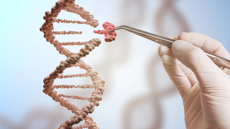 Mit der Genscheren-Technologie können bestimmte Sequenzen der DNA repariert und Erbkrankheiten geheilt werden.
