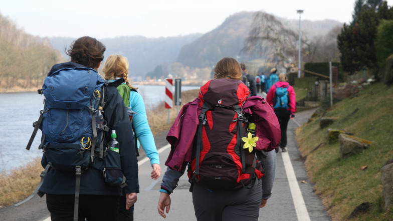 Herausforderung auf dem Elberadweg: Wie 2019 müssen die Teilnehmer 50 Kilometer laufen.