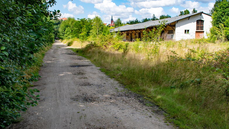 Der Mulderadweg soll wieder über das Areal des einstigen Güterbahnhofs beziehungsweise der Ladestraße in Leisnig verlaufen.