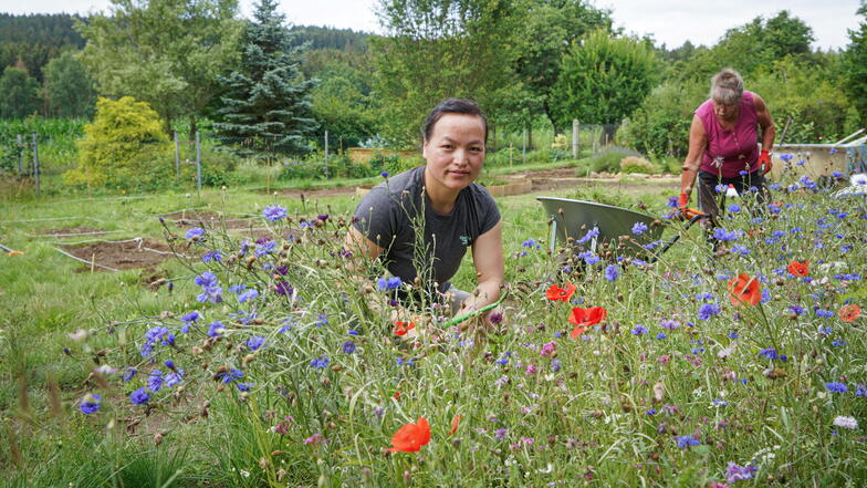 Mang Ly Thi arbeitet ehrenamtlich im Naturschutzzentrum Neukirch und hilft bei der Gestaltung des Gemeinschaftsgartens.